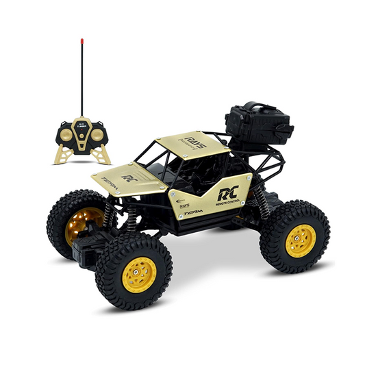 RC Rock Crawler Monster Truck | 4x4 Off-Road with LED Spray